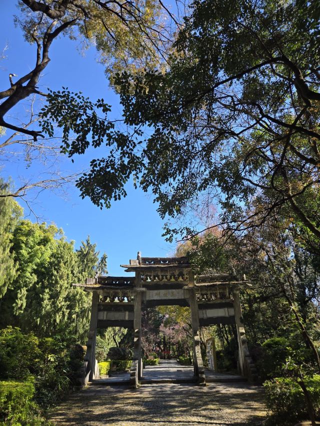 蝴蝶泉旅行图片 1