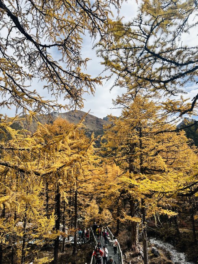 甘孜稻城亚丁景区旅行图片 4