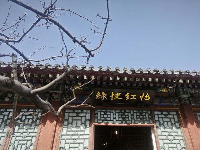 大观园旅行图片 5