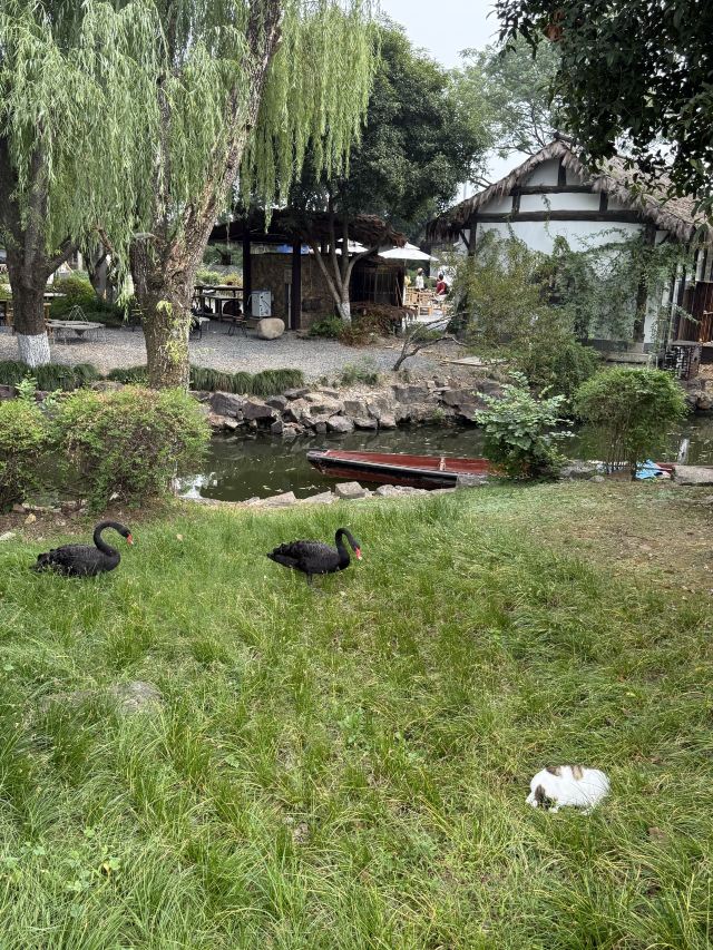 绍兴东湖风景区旅行图片 7