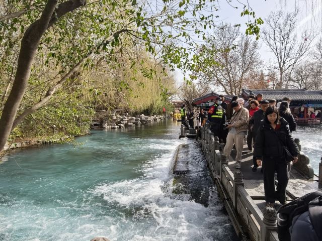 清照泉城·明水古城国际泉水旅游度假区旅行图片 8