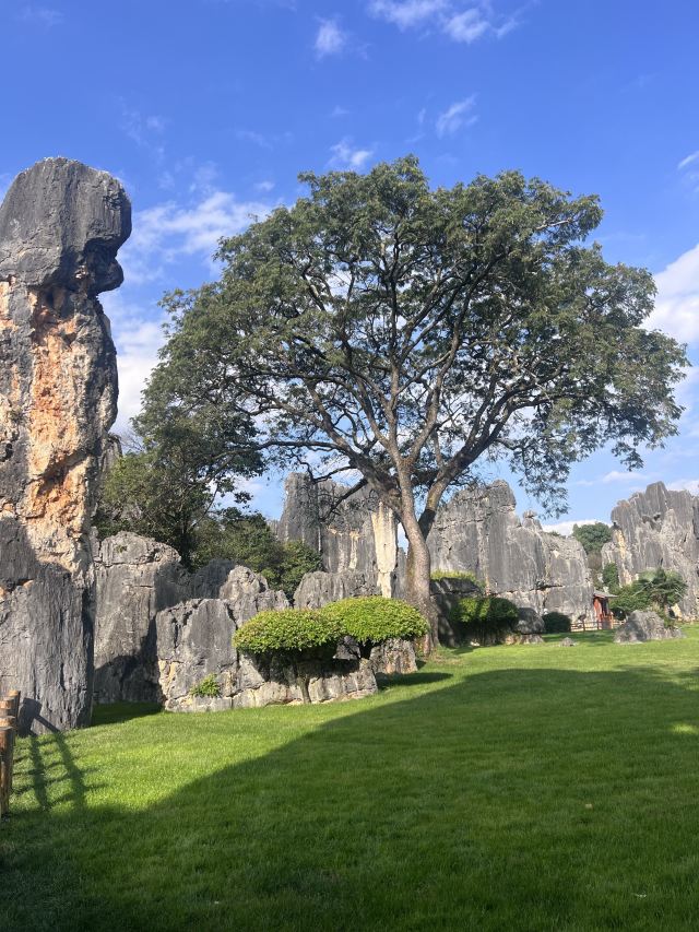 石林风景区旅行图片 6