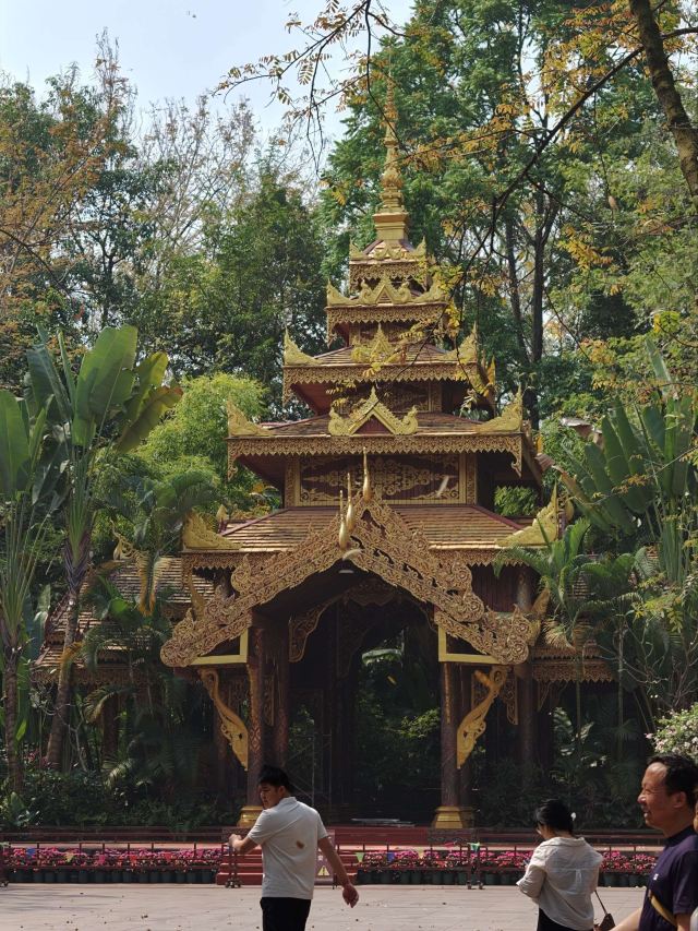 曼听御花园景区旅行图片 2