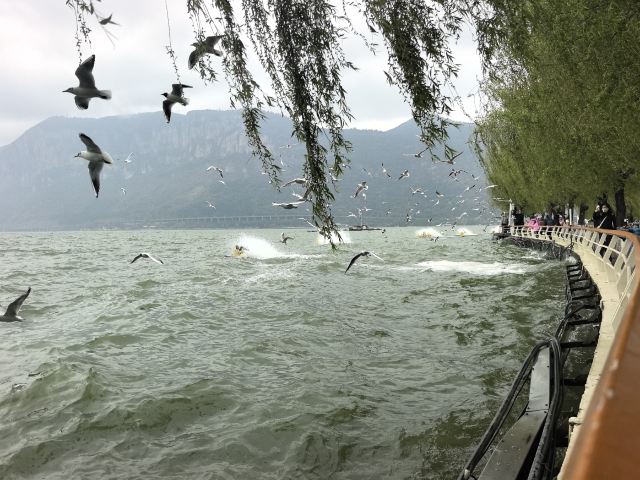 西山风景区旅行图片 2
