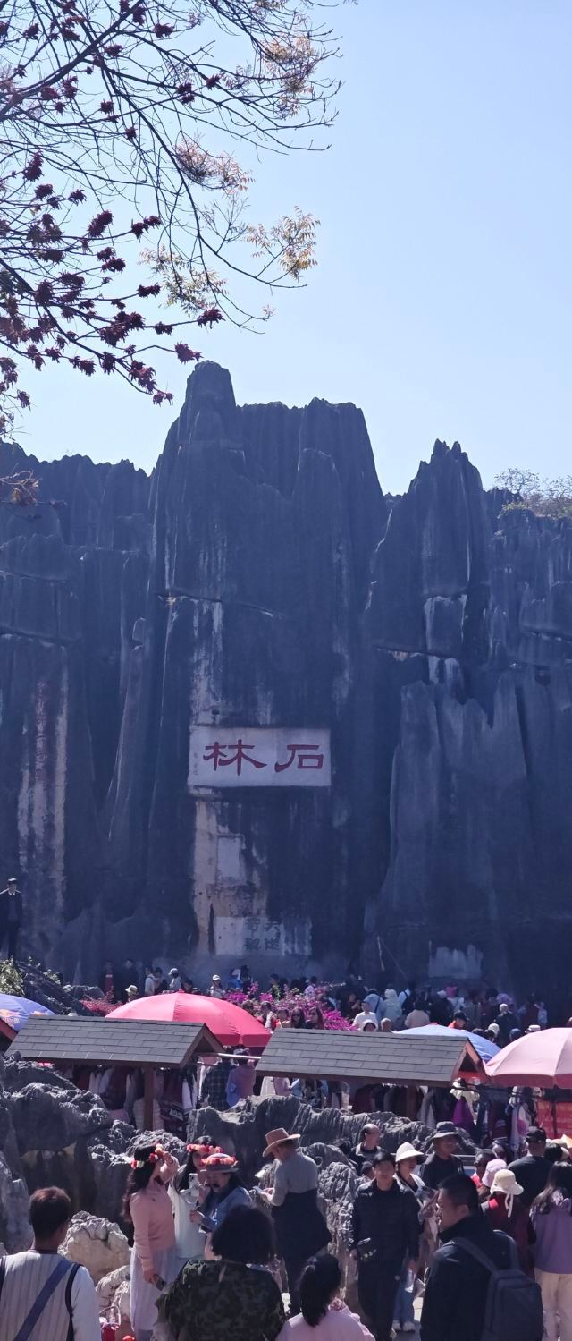 石林风景区旅行图片 2