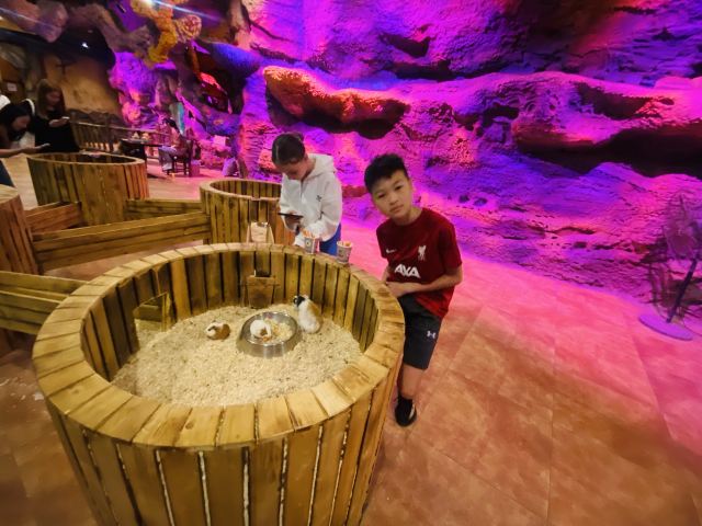 灵客欢乐动物园旅行图片 2