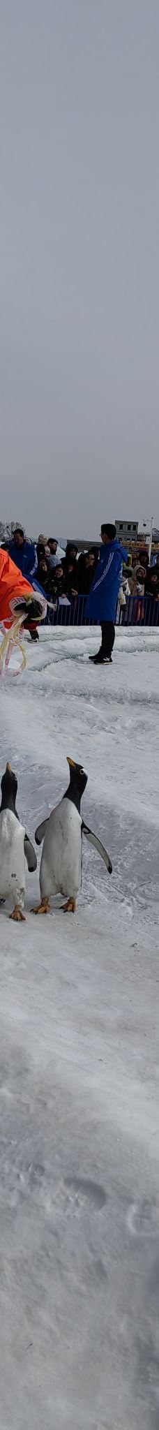 大黑河-呼和浩特-YoYo_7N6Z0R0X