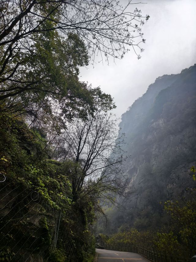 陕西省红河谷森林公园旅行图片 2