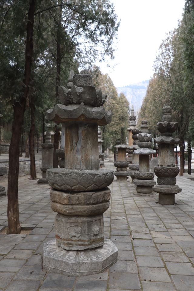 四门塔旅行图片 5