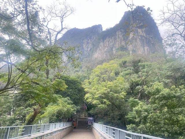 芦笛景区旅行图片 3