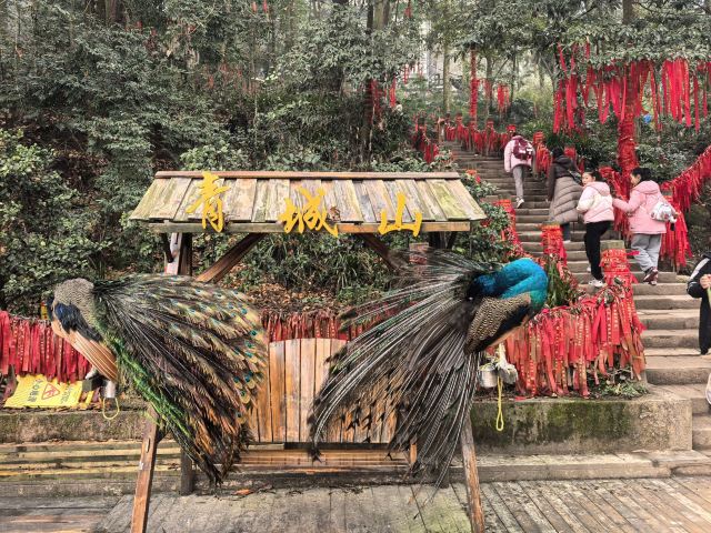 青城山景区旅行图片 8
