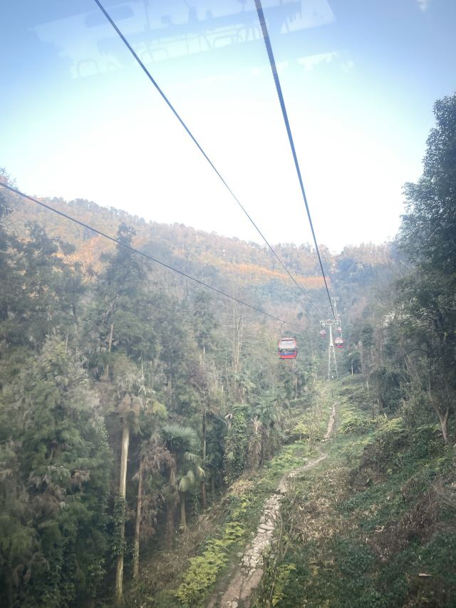 青城山景区旅行图片 1