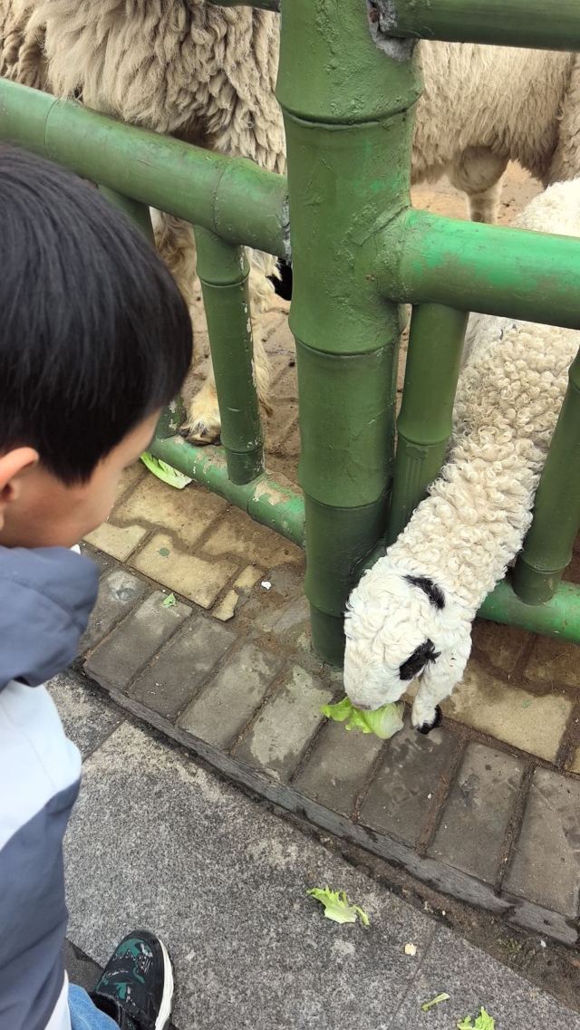 湖南常德野生动物世界旅行图片 3