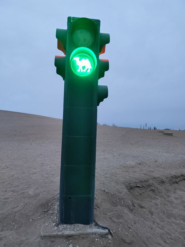 鸣沙山月牙泉旅行图片 1