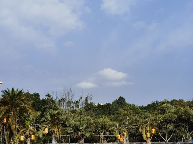 西双版纳南药园旅行图片 1