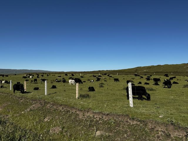 山丹皇家马场景区(暂停开放)旅行图片 2