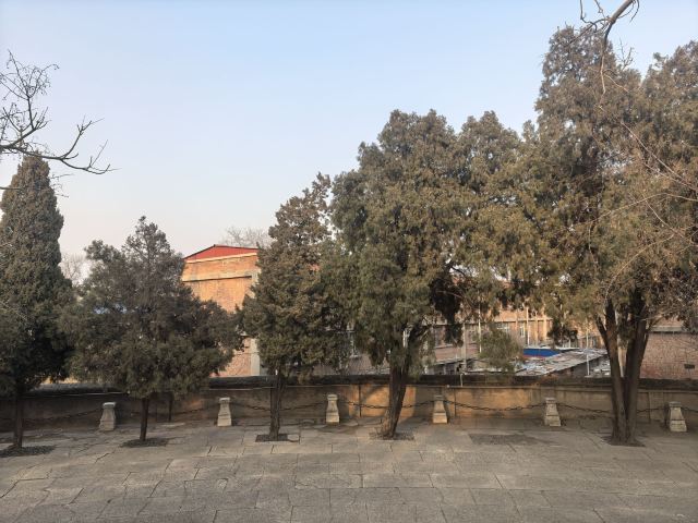 袁林旅行图片 5