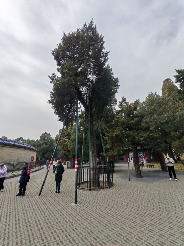 天坛公园旅行图片 4