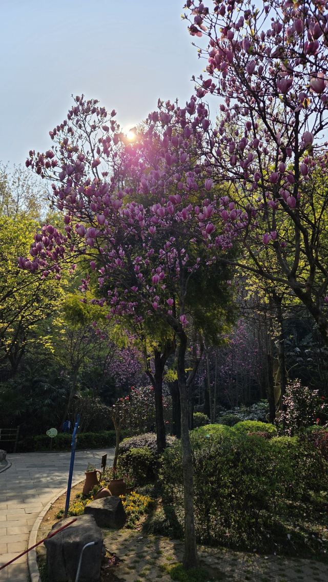 象鼻山景区旅行图片 2