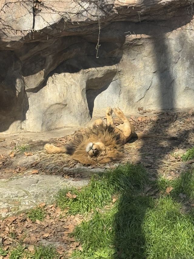 上海动物园旅行图片 6