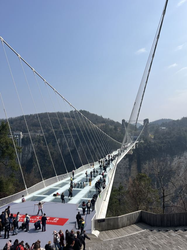 张家界大峡谷旅行图片 1
