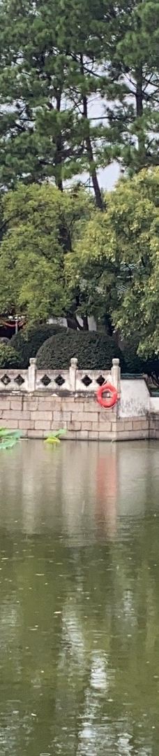 上海大观园-上海-青藤子