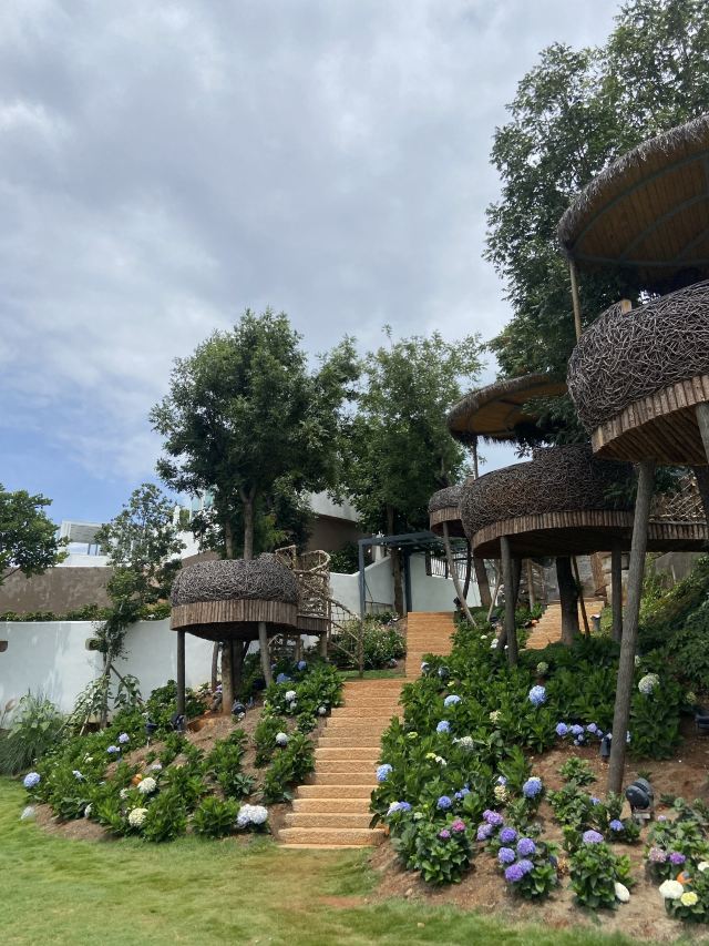 理想的花园旅行图片 6