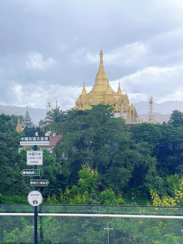 西双版纳独树成林景区旅行图片 5