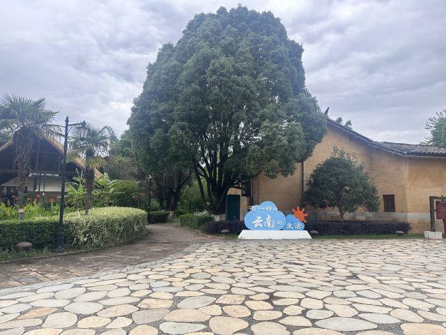 云南民族村旅行图片 3