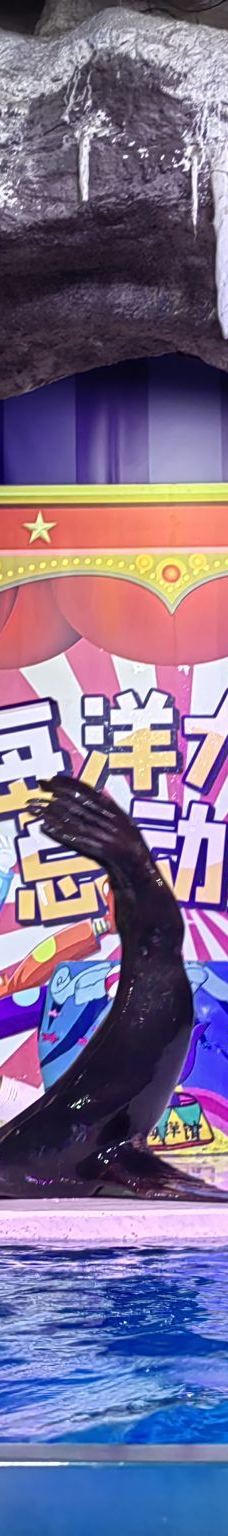 郑州海洋馆-郑州-YoYo_7V6M4D4C