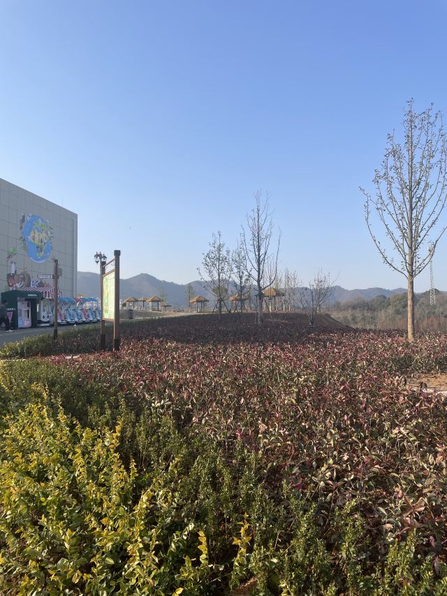 九江野生动物世界旅行图片 1