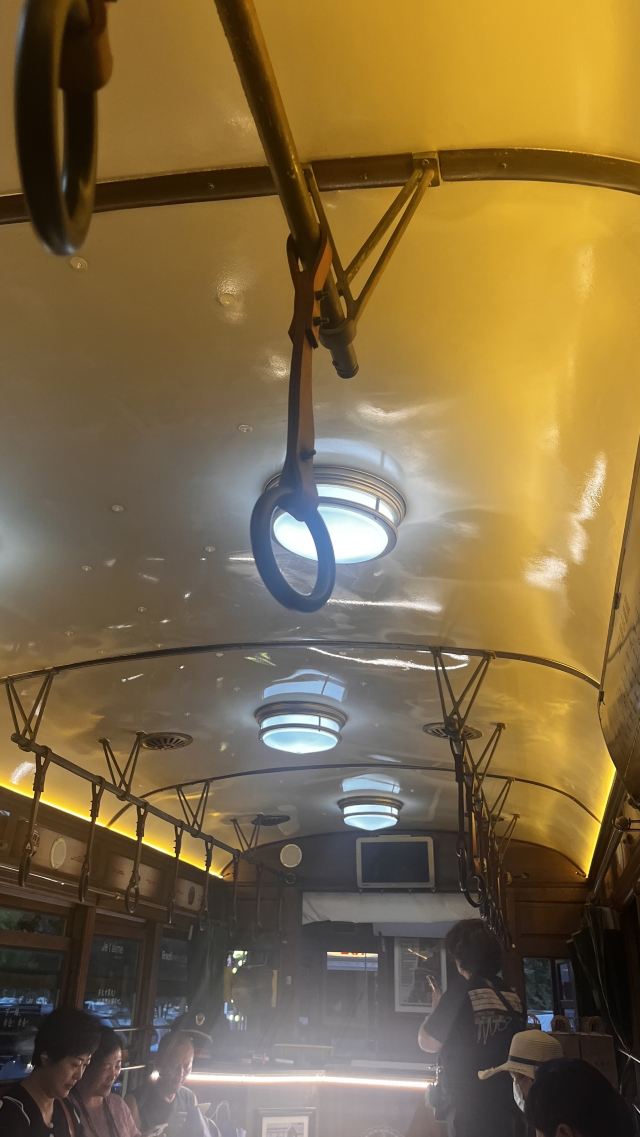 201路百年文旅专列旅行图片 3
