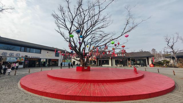 舜山小镇旅行图片 4