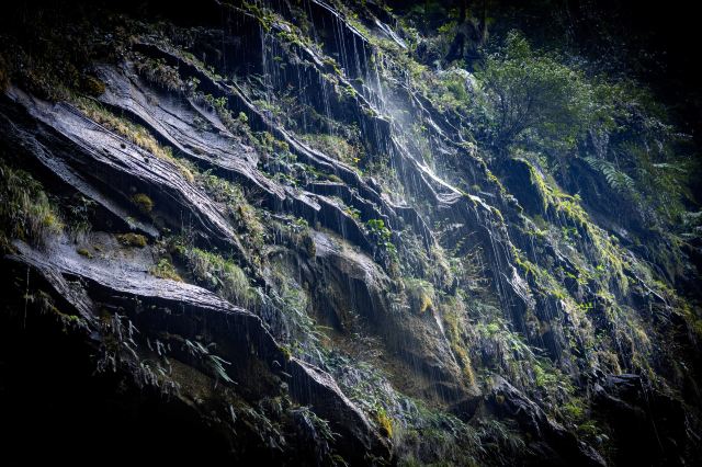 碧峰峡风景区旅行图片 1