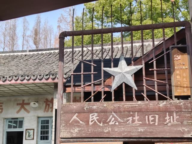枫泾古镇旅行图片 6