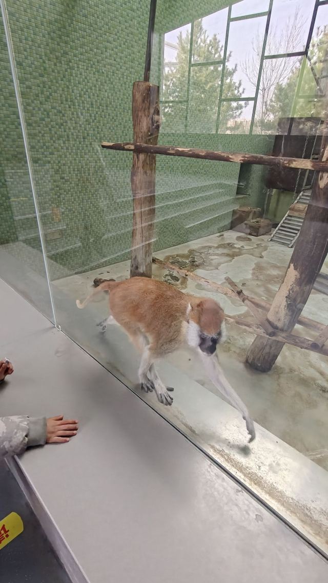 太原动物园旅行图片 8