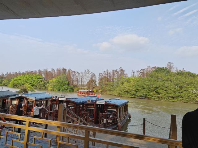 小鸟天堂旅行图片 5