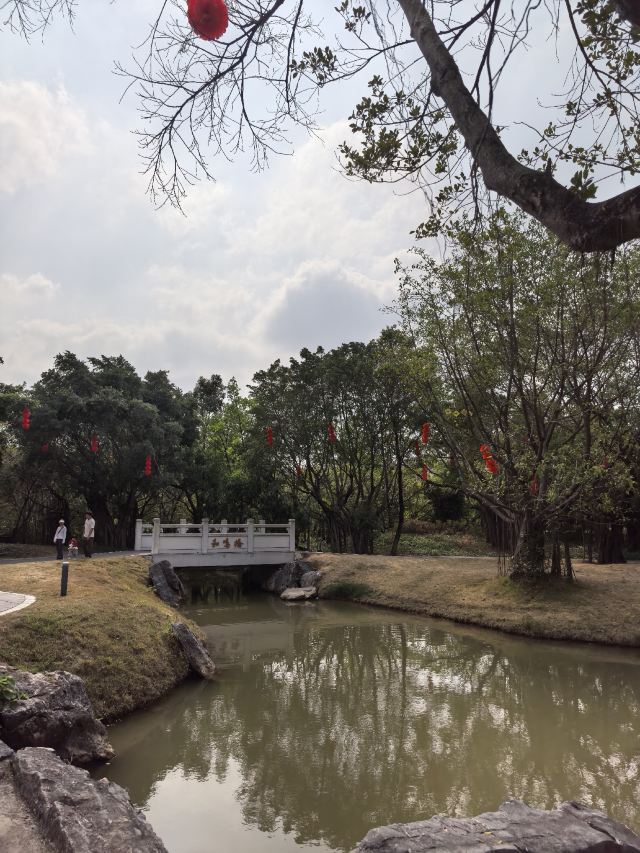 小鸟天堂旅行图片 4