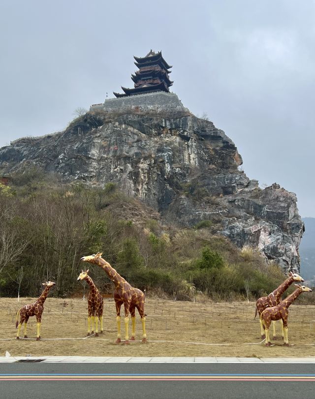 阳明心谷景区旅行图片 3