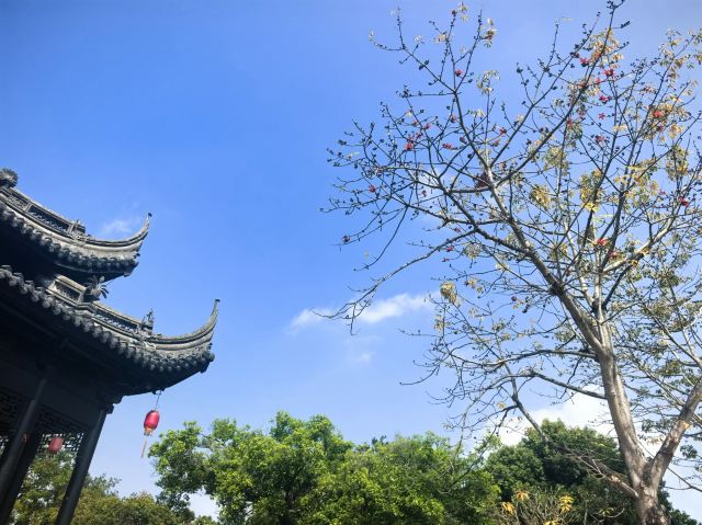 中山詹园旅行图片 4