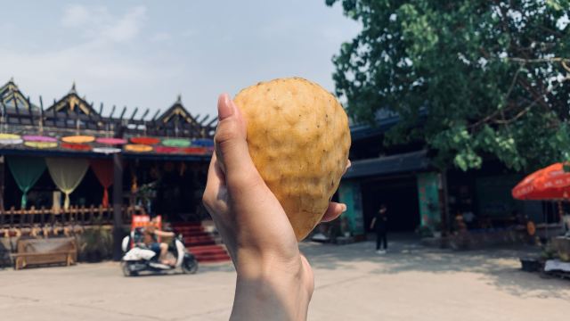 曼掌村旅行图片 5