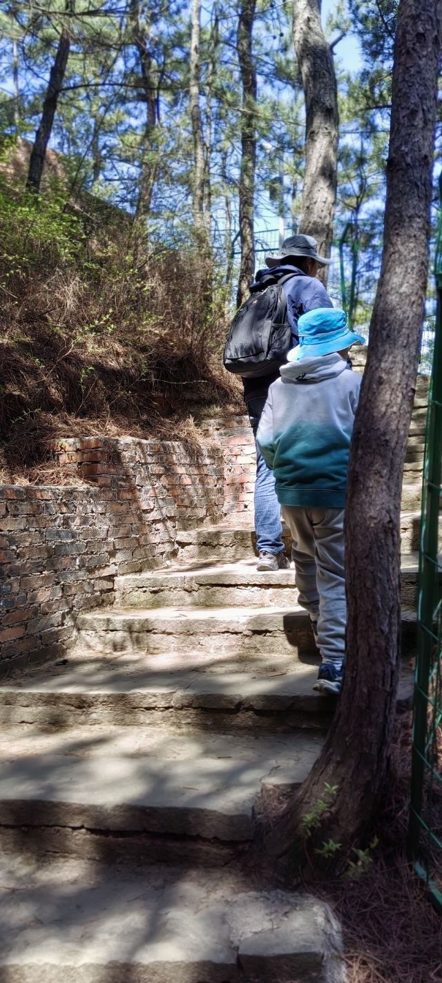龙潭大峡谷自然风景区旅行图片 2