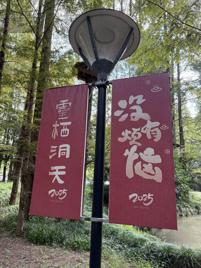 灵栖洞旅行图片 7