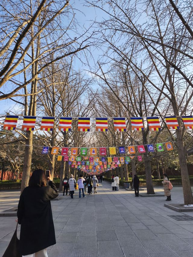 雍和宫旅行图片 3