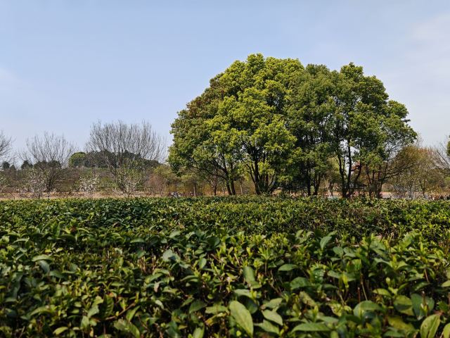 江西省凤凰沟风景区旅行图片 1