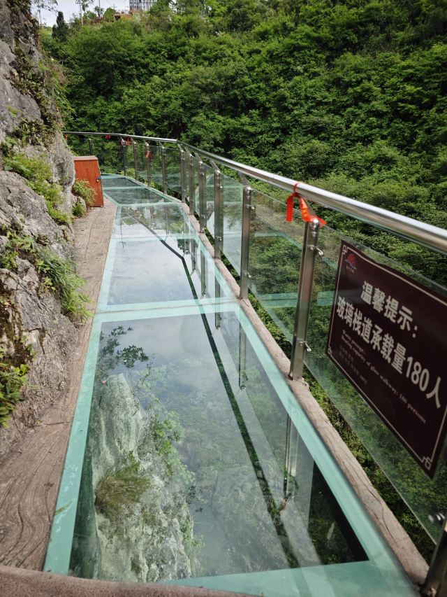 洒金公园旅行图片 3