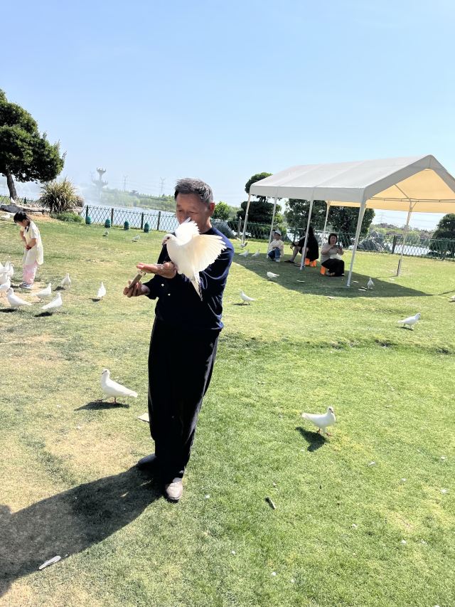南通洲际梦幻岛旅行图片 1