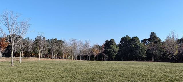 北京西山国家森林公园旅行图片 1