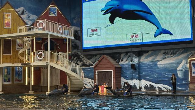 曲江海洋极地公园旅行图片 1