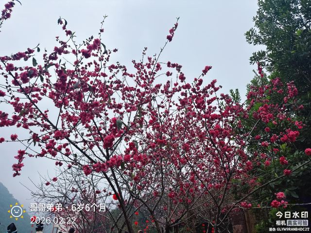 瑶望天下景区旅行图片 1